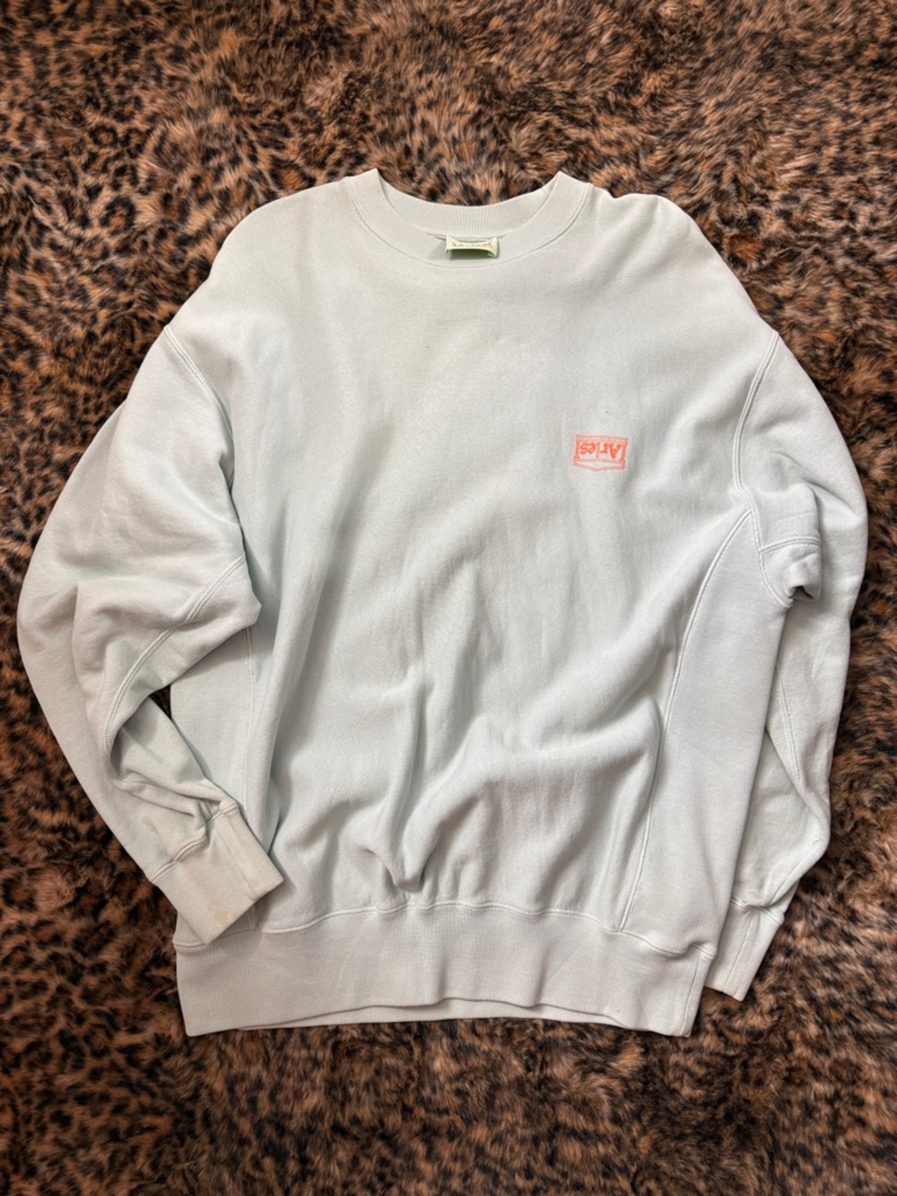 ARIES Temple Light Mint Crewneck Sweatshirt with Logo